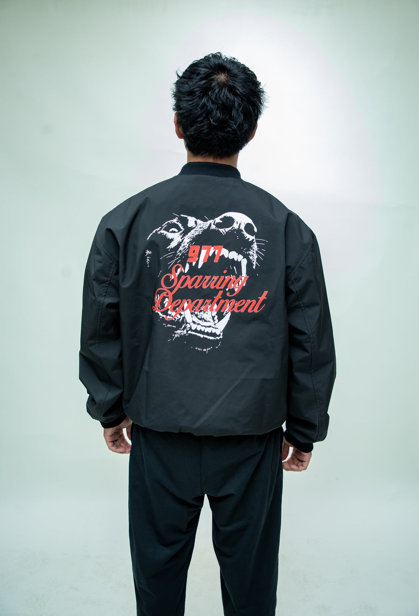 Bomber Jacket: Sparring Department