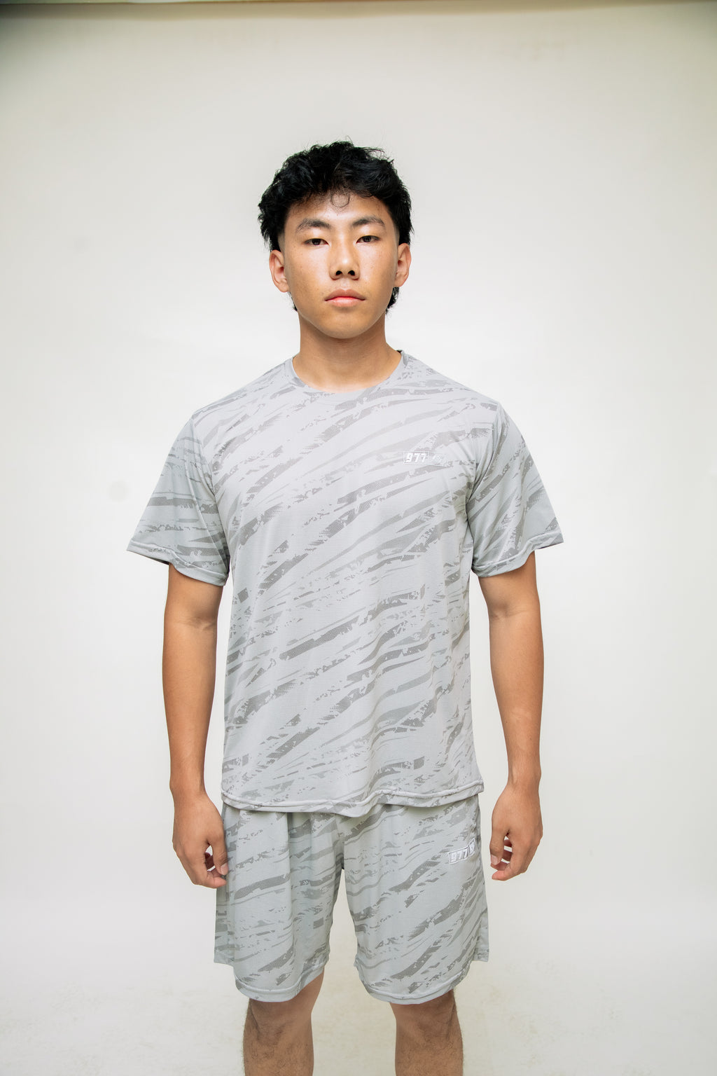 Dri-Fit T-shirt: Grey