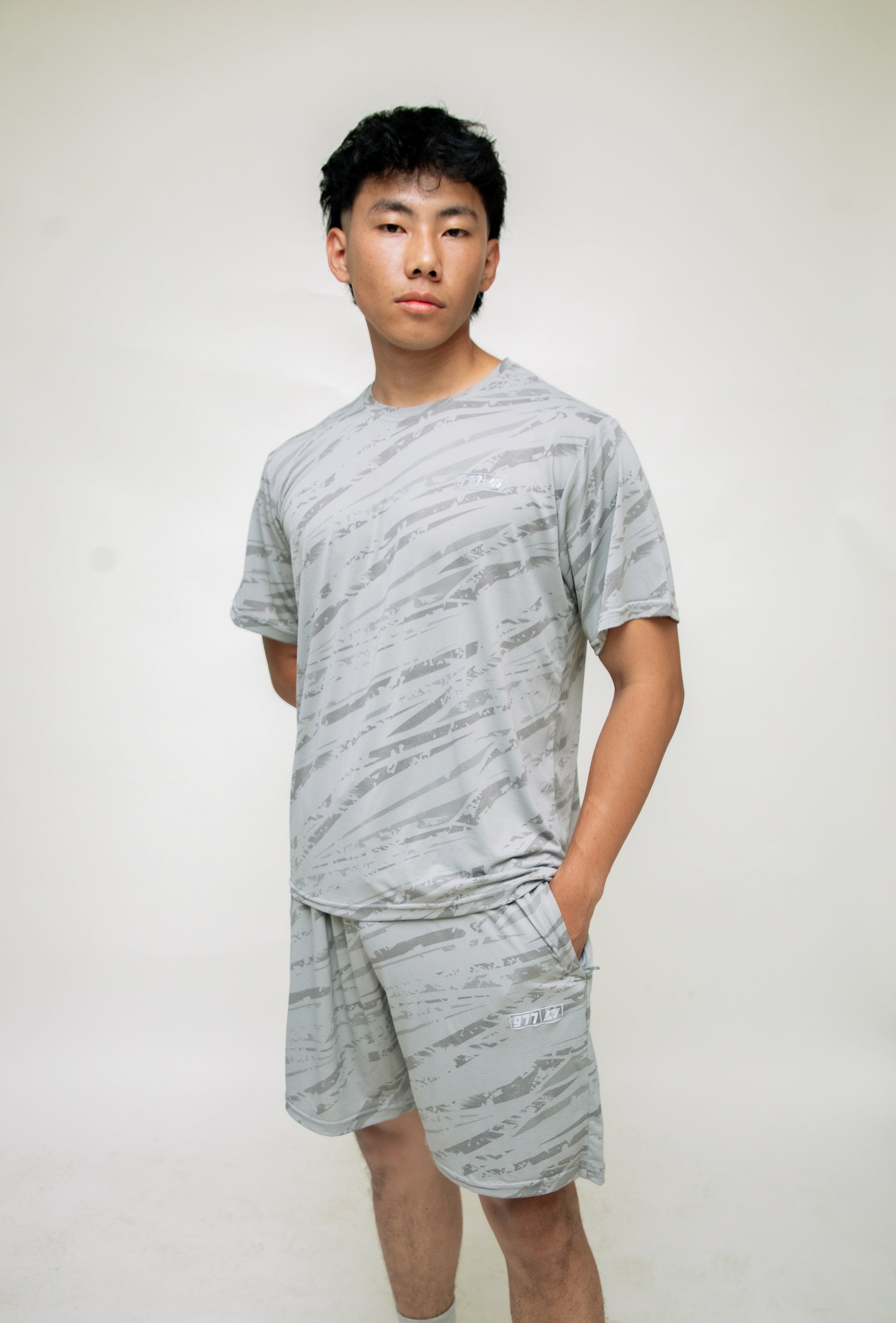 Dri-Fit T-shirt: Grey